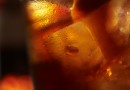 Long Island Iced Tea, refrescante e inocente