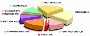 Uvas más utilizadas en Alsacia