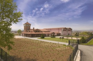 Bodega Viña Ijalba. Foto: Carmen Fernández - Pinterest