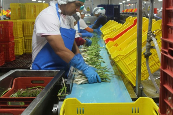 El mercado agroalimentario peruano