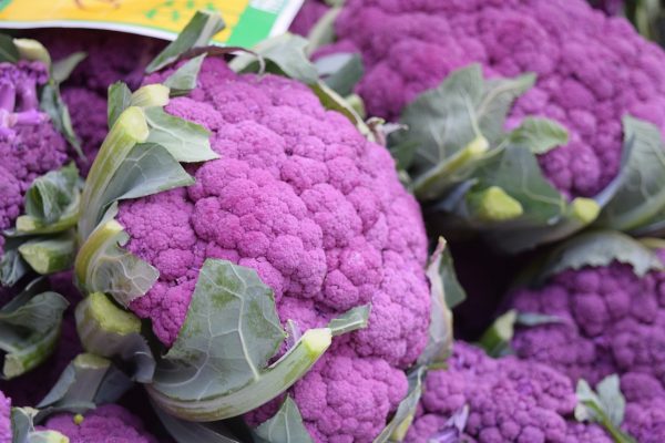 El coliflor púrpura es uno de ellos